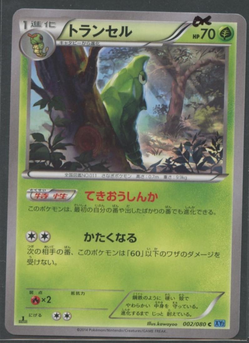 Metapod [1st-Edition]